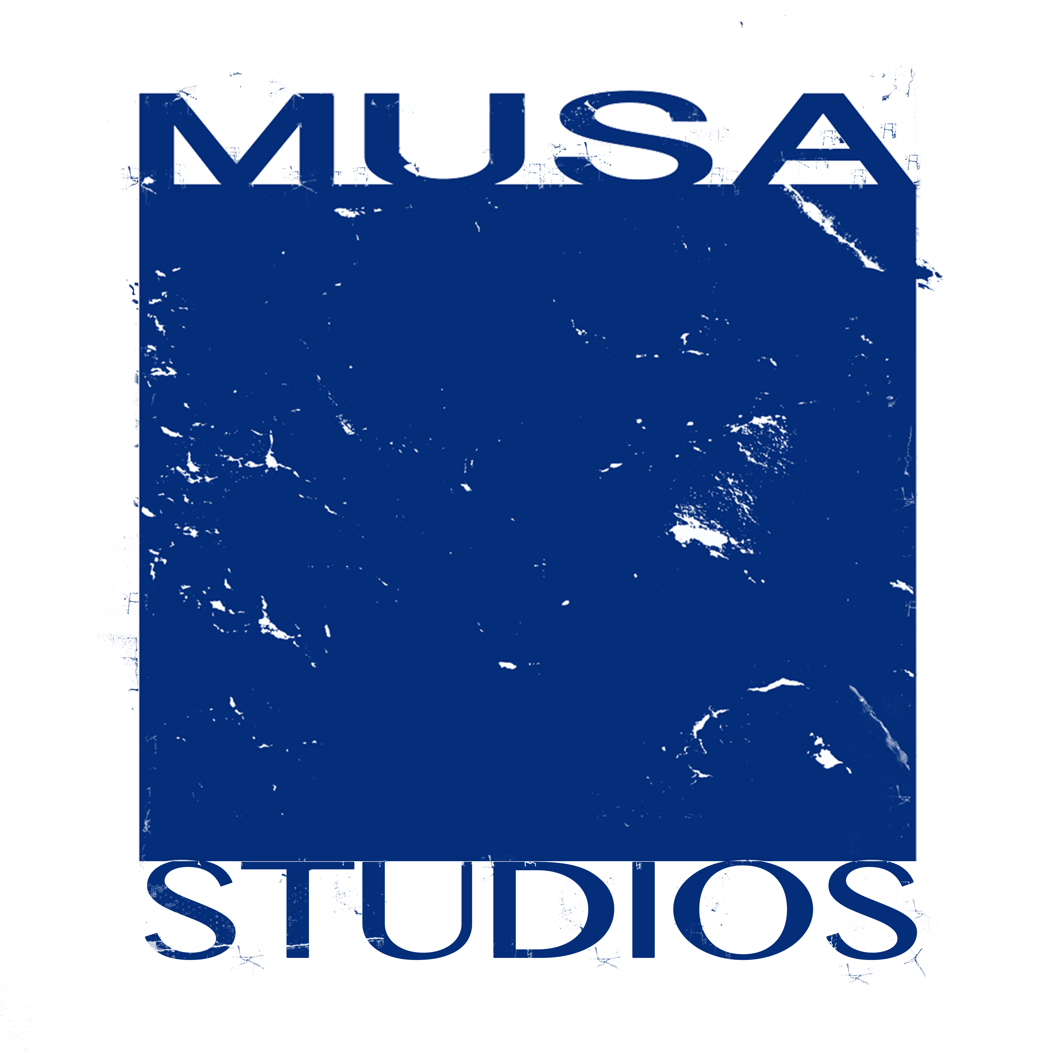 Tarek Musa Studios
